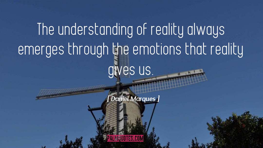 Daniel Marques Quotes: The understanding of reality always