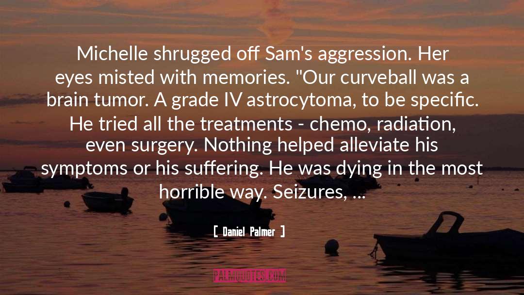 Daniel Palmer Quotes: Michelle shrugged off Sam's aggression.