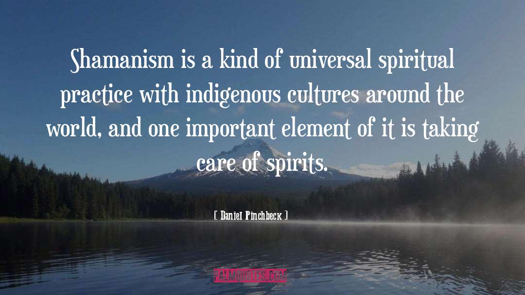 Daniel Pinchbeck Quotes: Shamanism is a kind of