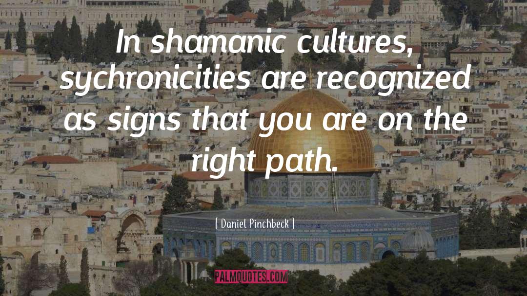 Daniel Pinchbeck Quotes: In shamanic cultures, sychronicities are