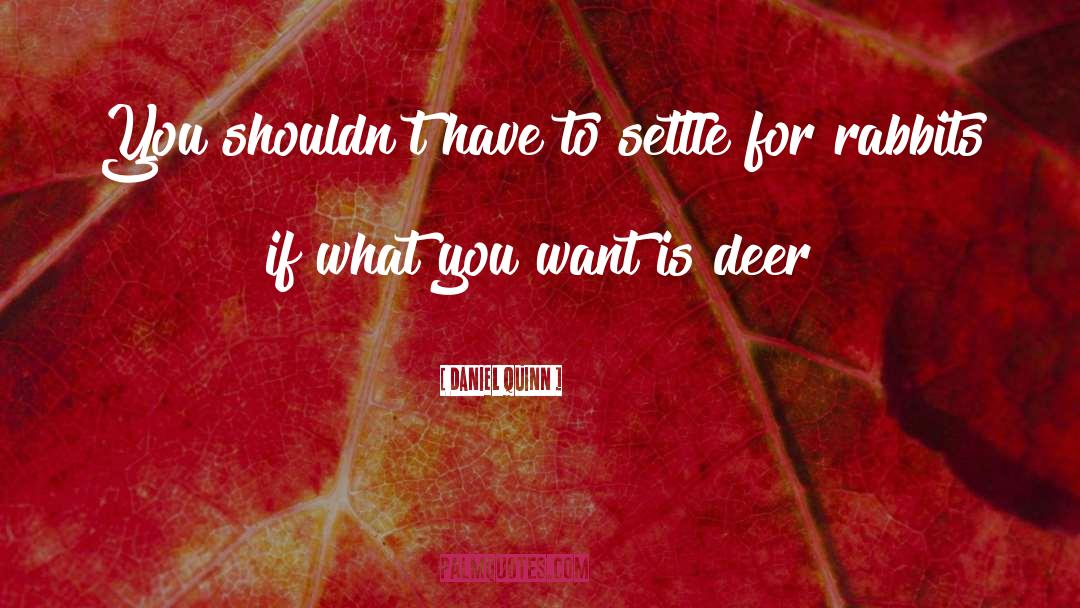 Daniel Quinn Quotes: You shouldn't have to settle