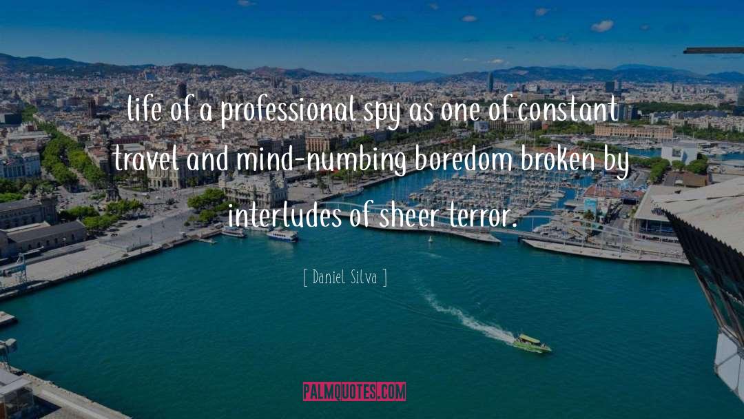 Daniel Silva Quotes: life of a professional spy