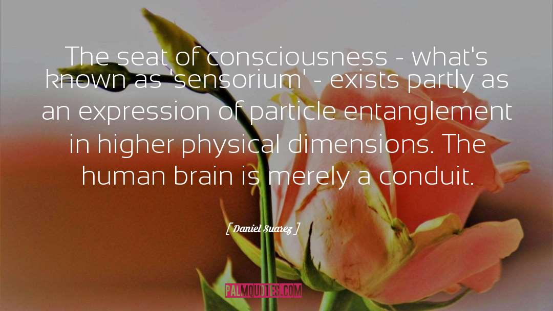 Daniel Suarez Quotes: The seat of consciousness -