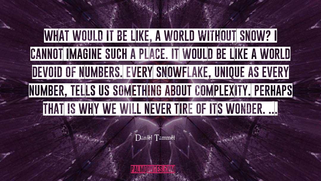 Daniel Tammet Quotes: What would it be like,