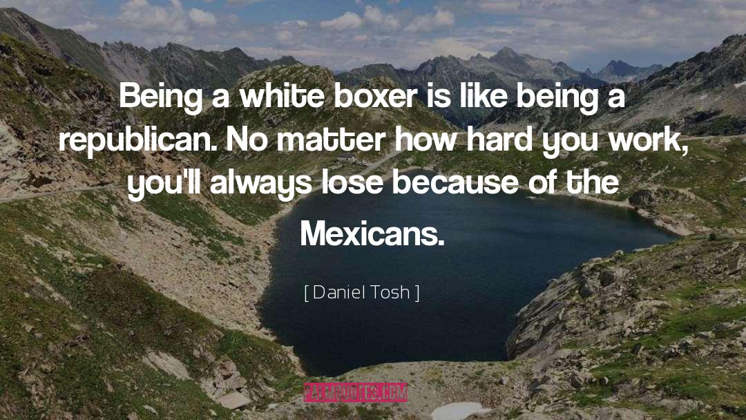 Daniel Tosh Quotes: Being a white boxer is