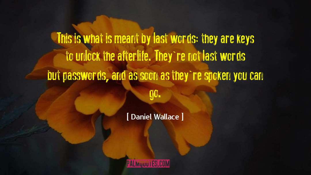 Daniel Wallace Quotes: This is what is meant