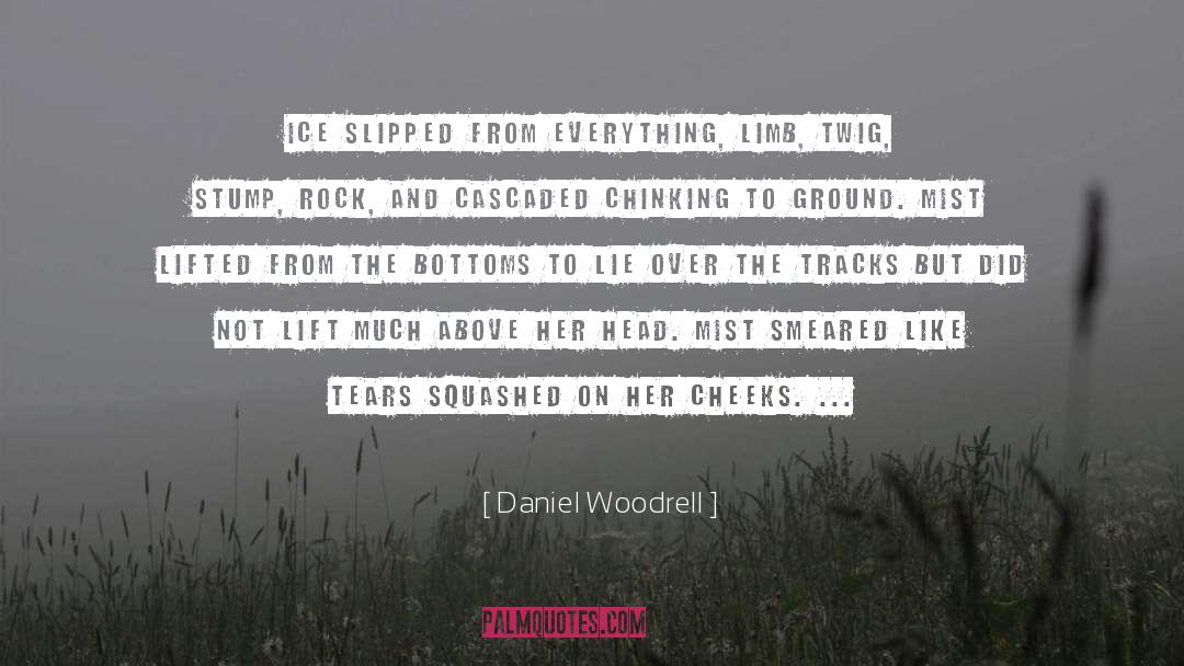 Daniel Woodrell Quotes: Ice slipped from everything, limb,
