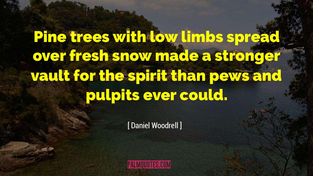 Daniel Woodrell Quotes: Pine trees with low limbs