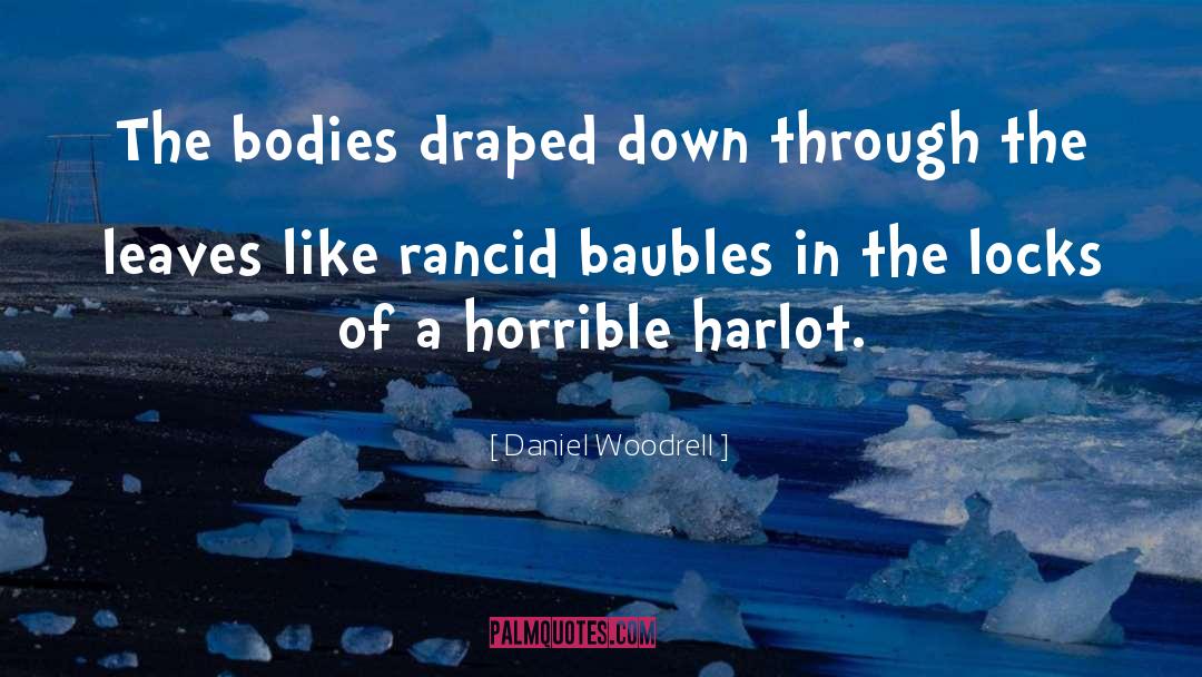 Daniel Woodrell Quotes: The bodies draped down through