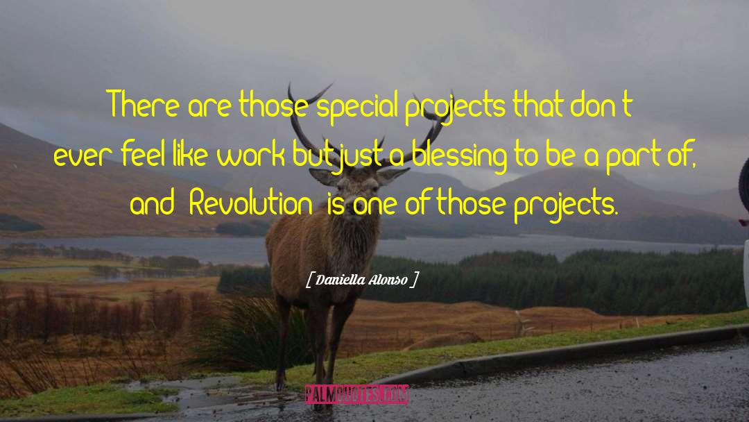 Daniella Alonso Quotes: There are those special projects