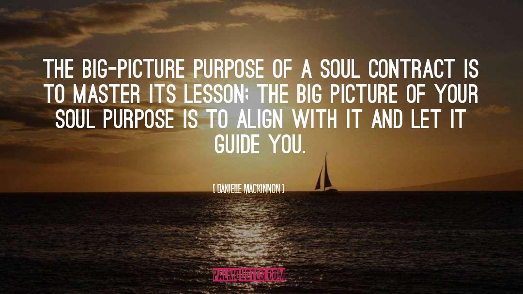 Danielle MacKinnon Quotes: The big-picture purpose of a