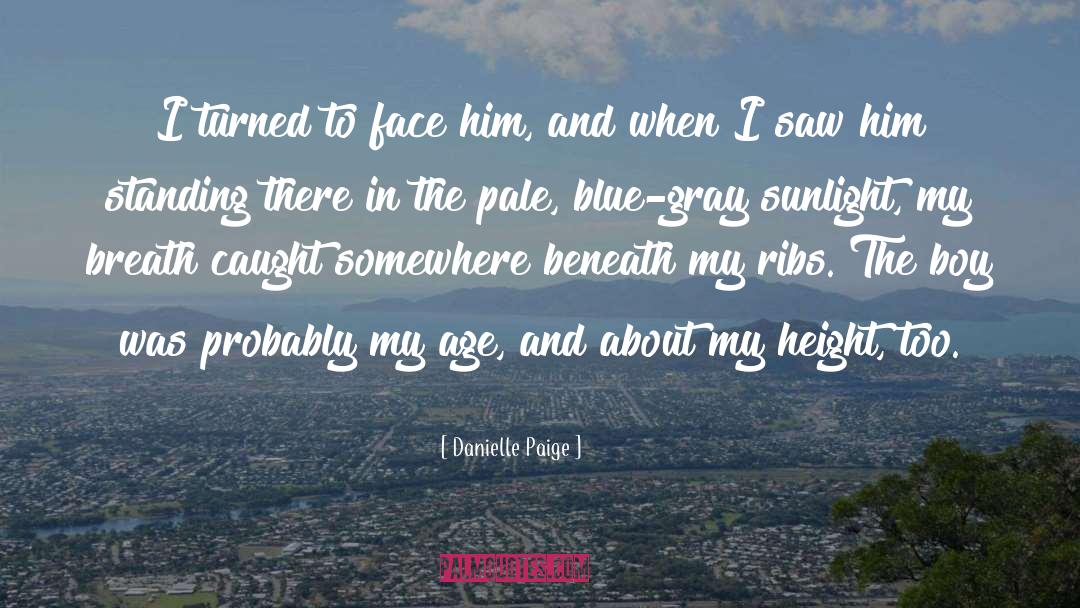Danielle Paige Quotes: I turned to face him,