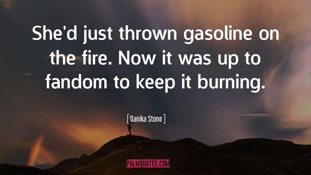 Danika Stone Quotes: She'd just thrown gasoline on