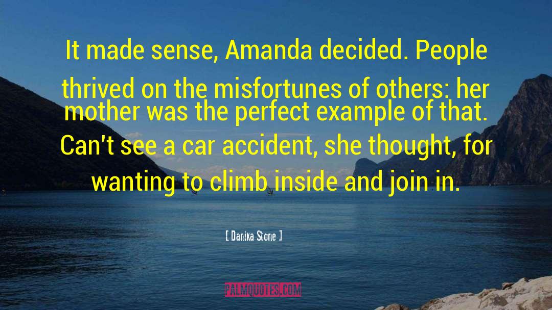 Danika Stone Quotes: It made sense, Amanda decided.