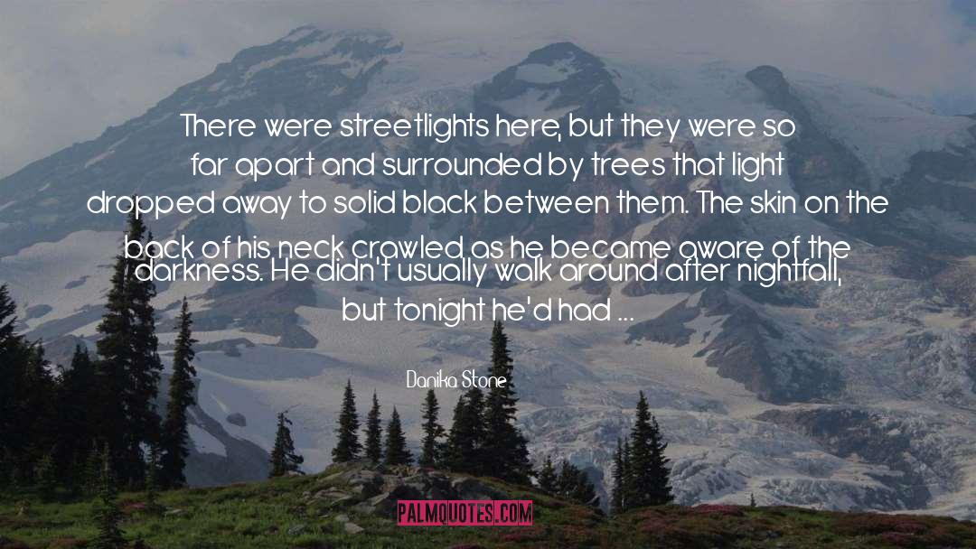 Danika Stone Quotes: There were streetlights here, but