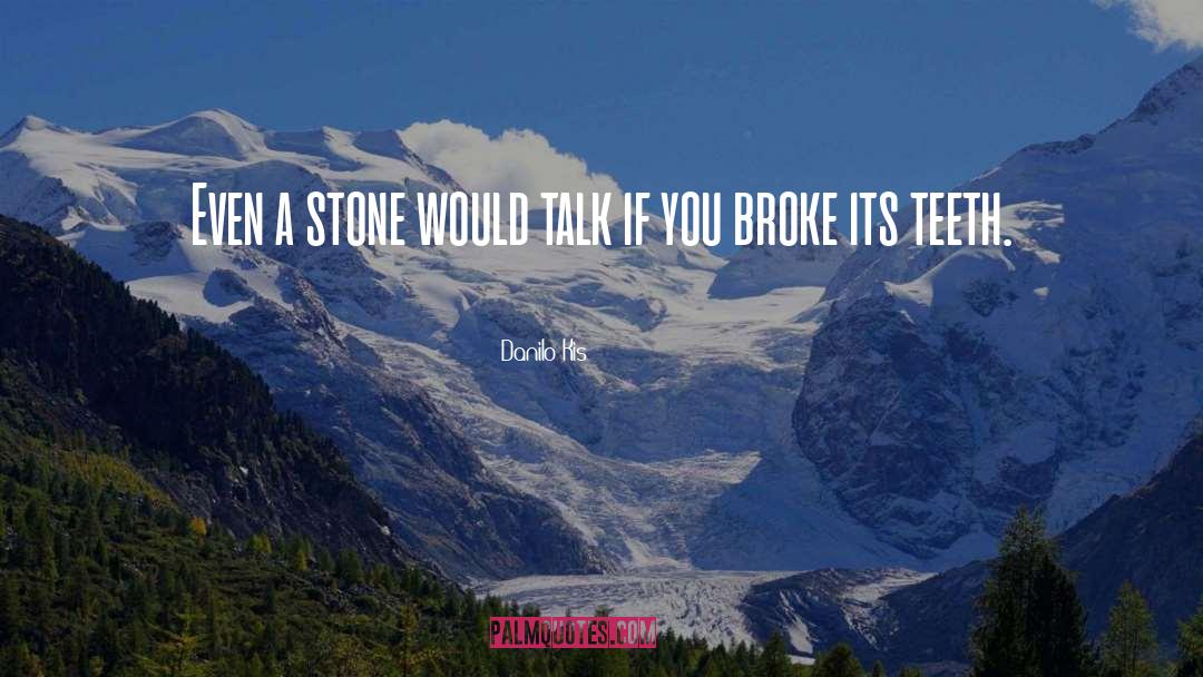 Danilo Kis Quotes: Even a stone would talk