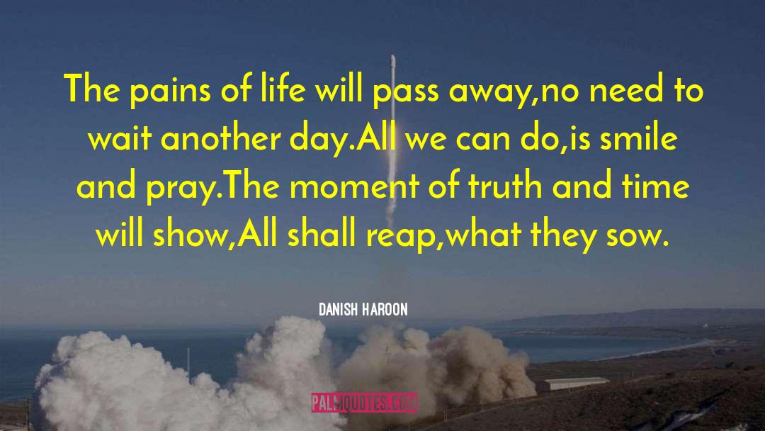 Danish Haroon Quotes: The pains of life will