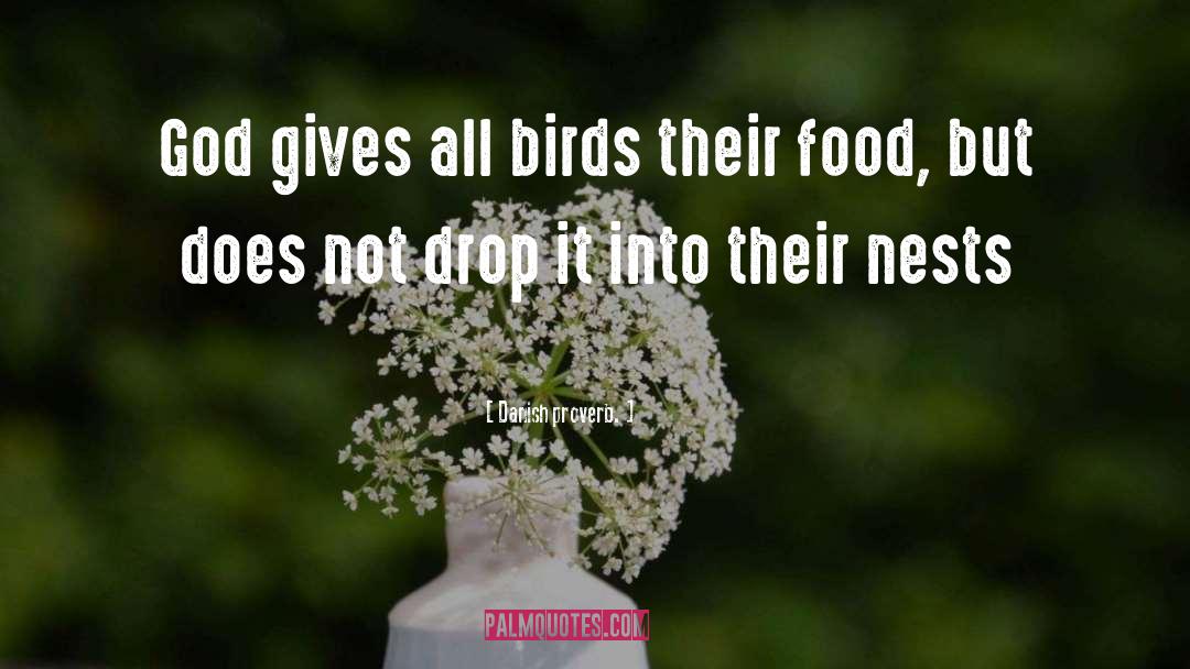 Danish Proverb. Quotes: God gives all birds their