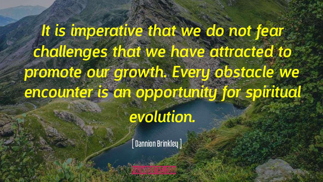 Dannion Brinkley Quotes: It is imperative that we