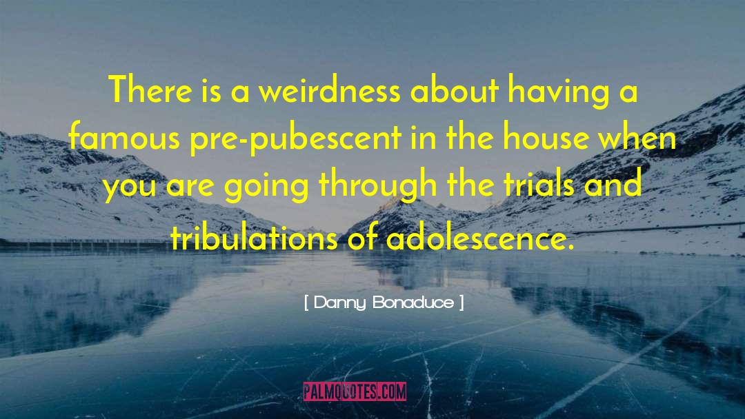 Danny Bonaduce Quotes: There is a weirdness about