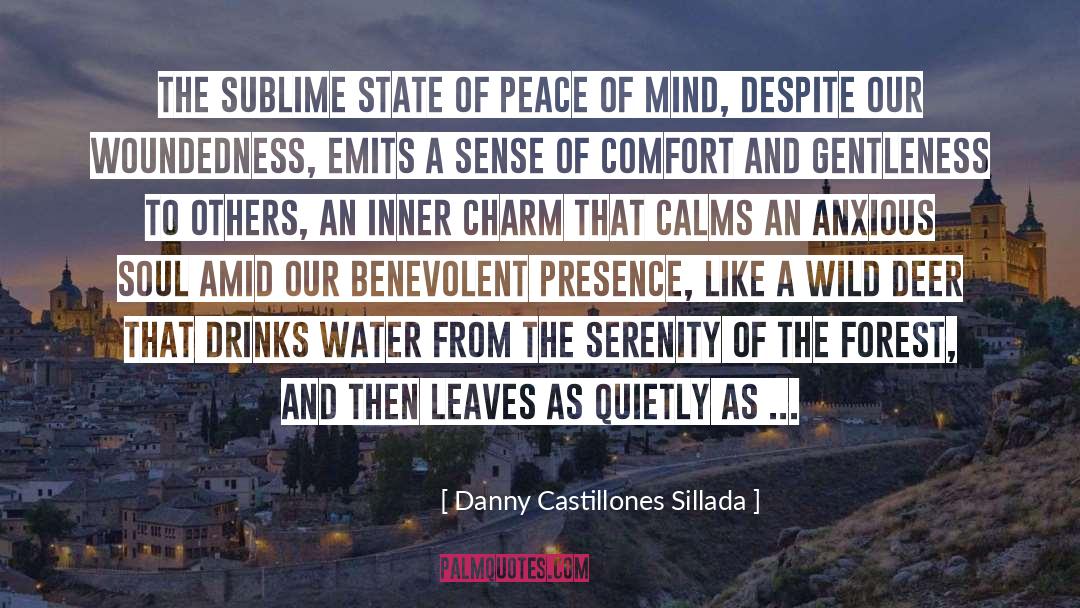 Danny Castillones Sillada Quotes: The sublime state of peace