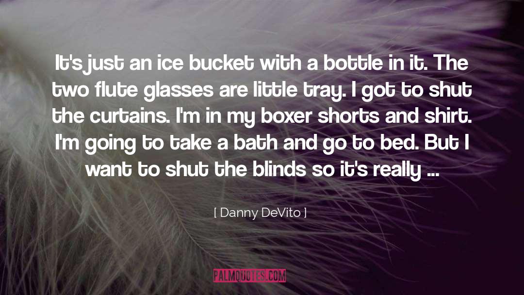 Danny DeVito Quotes: It's just an ice bucket