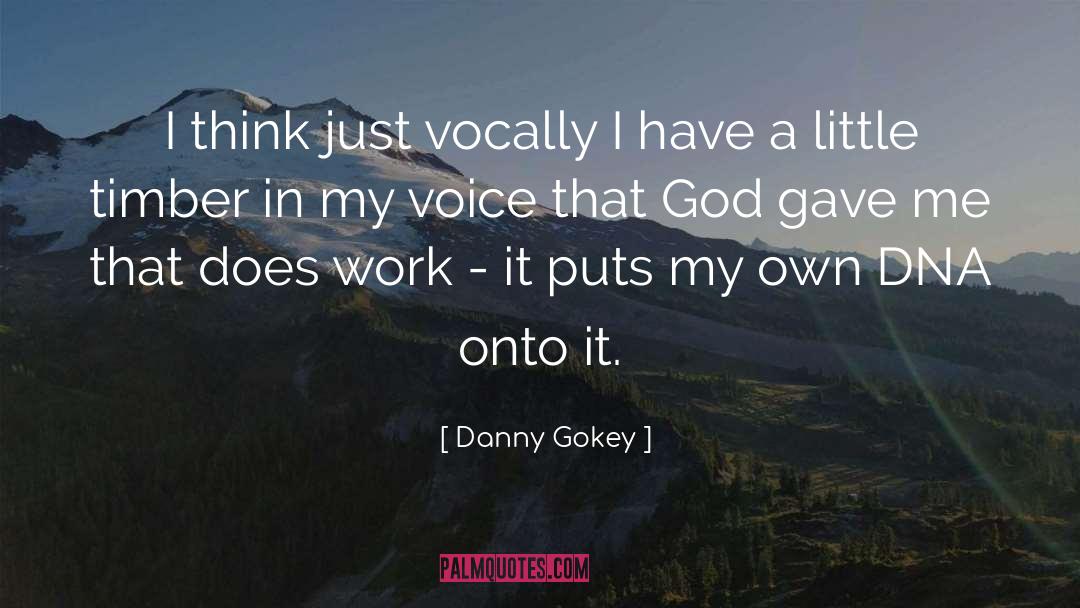 Danny Gokey Quotes: I think just vocally I