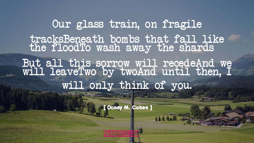 Danny M. Cohen Quotes: Our glass train, on fragile