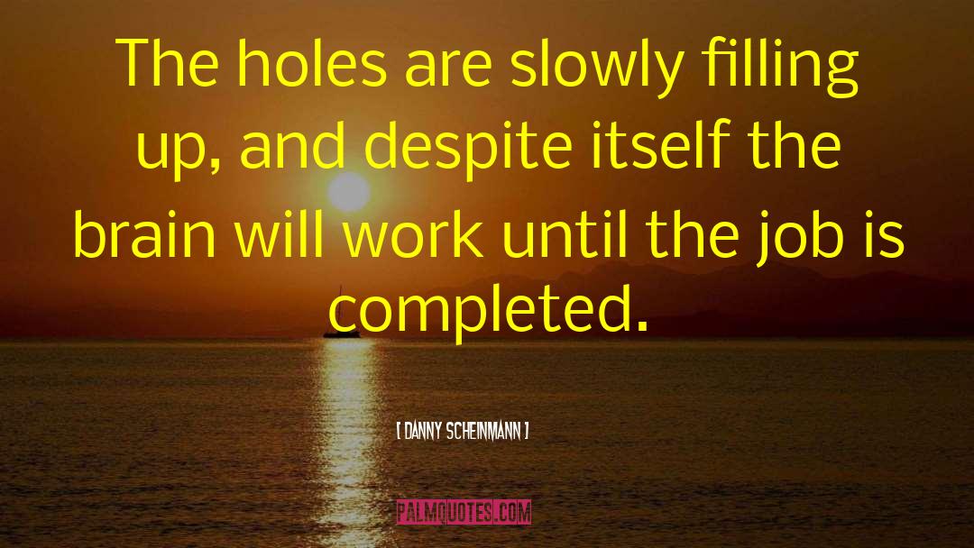 Danny Scheinmann Quotes: The holes are slowly filling