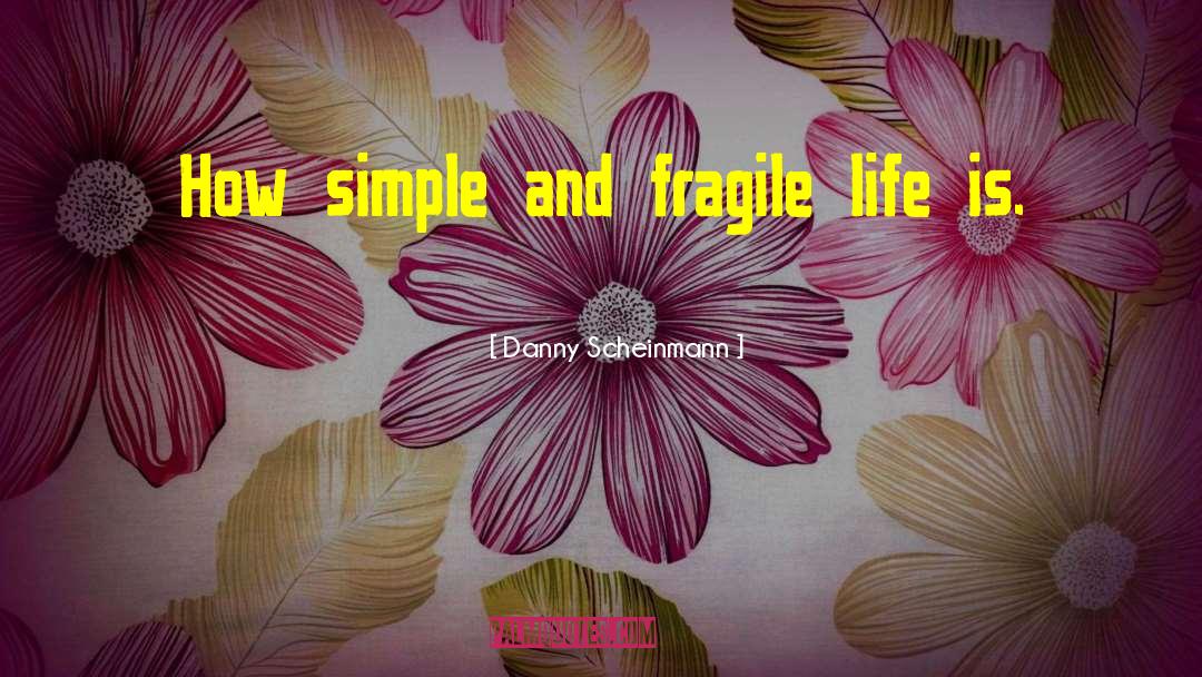 Danny Scheinmann Quotes: How simple and fragile life