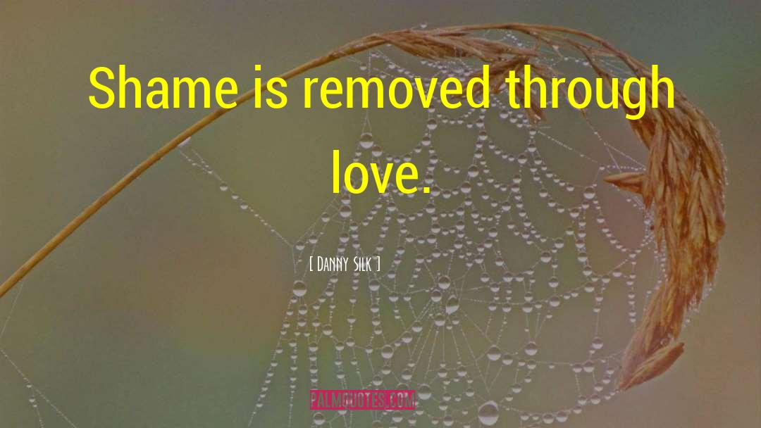 Danny Silk Quotes: Shame is removed through love.