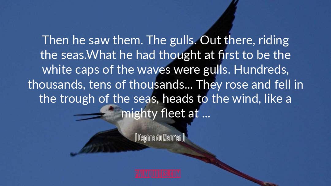 Daphne Du Maurier Quotes: Then he saw them. The