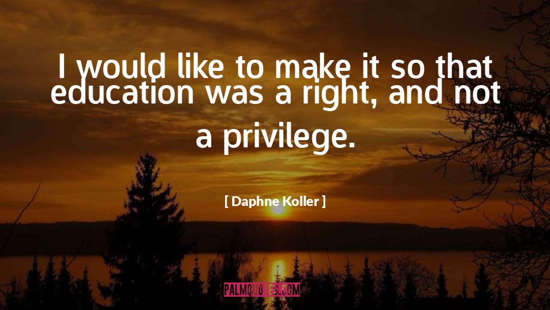 Daphne Koller Quotes: I would like to make