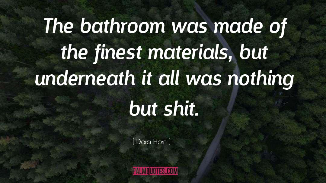 Dara Horn Quotes: The bathroom was made of