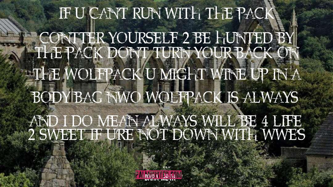 DARA METH Quotes: IF U CAN'T RUN WITH