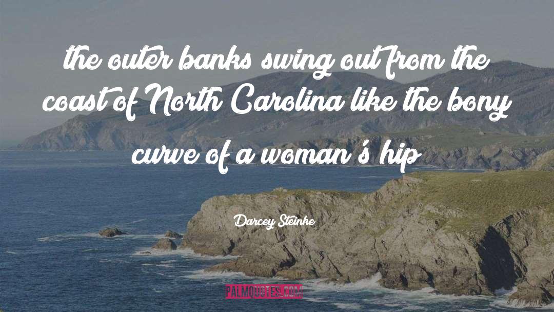 Darcey Steinke Quotes: the outer banks swing out