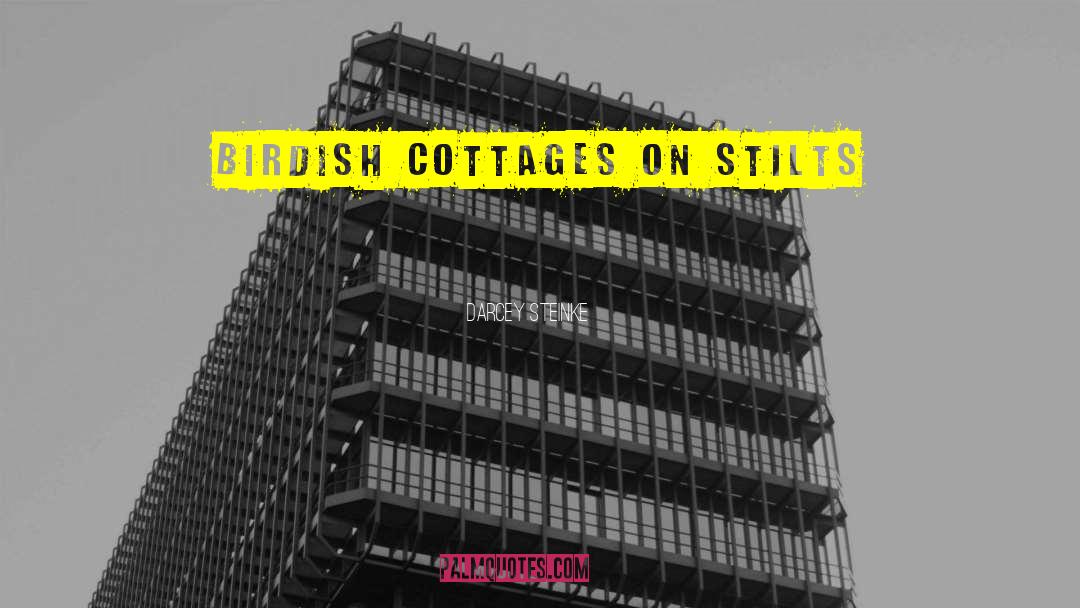 Darcey Steinke Quotes: birdish cottages on stilts