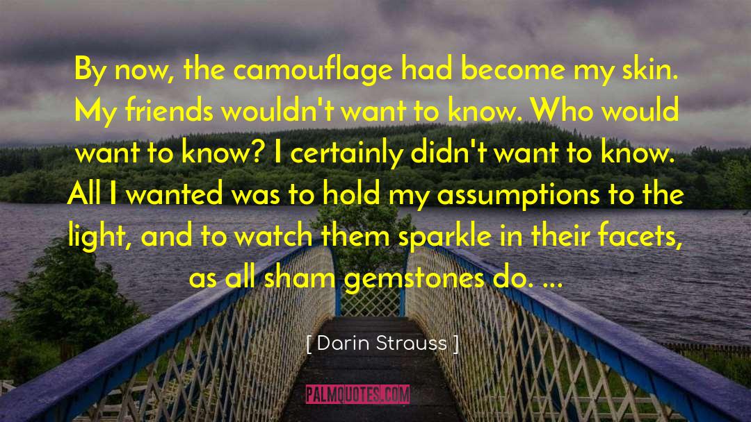 Darin Strauss Quotes: By now, the camouflage had