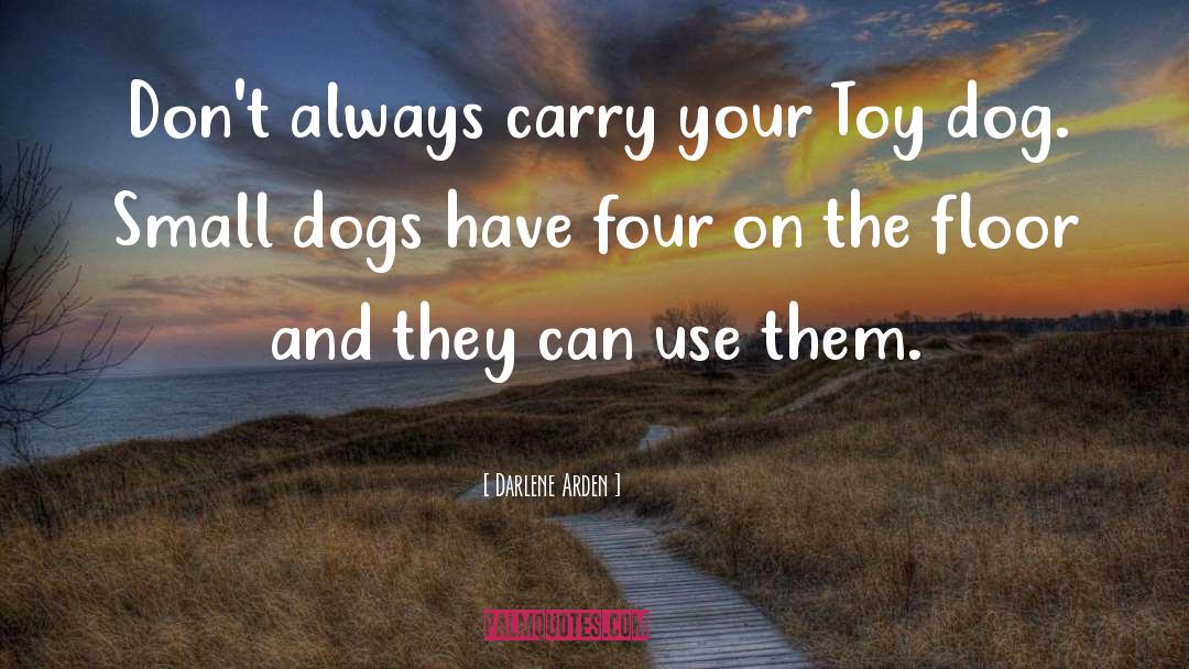 Darlene Arden Quotes: Don't always carry your Toy