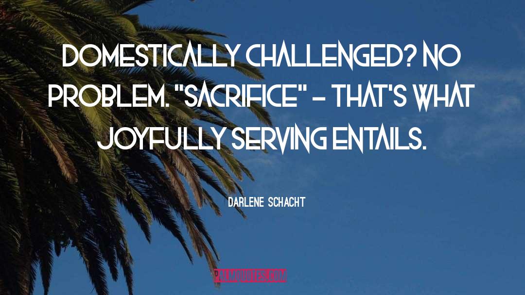 Darlene Schacht Quotes: Domestically challenged? No problem. 