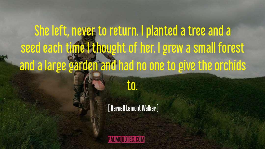 Darnell Lamont Walker Quotes: She left, never to return.