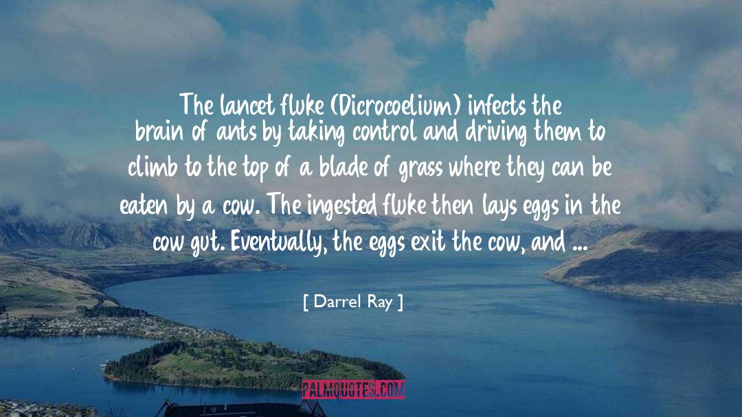 Darrel Ray Quotes: The lancet fluke (Dicrocoelium) infects