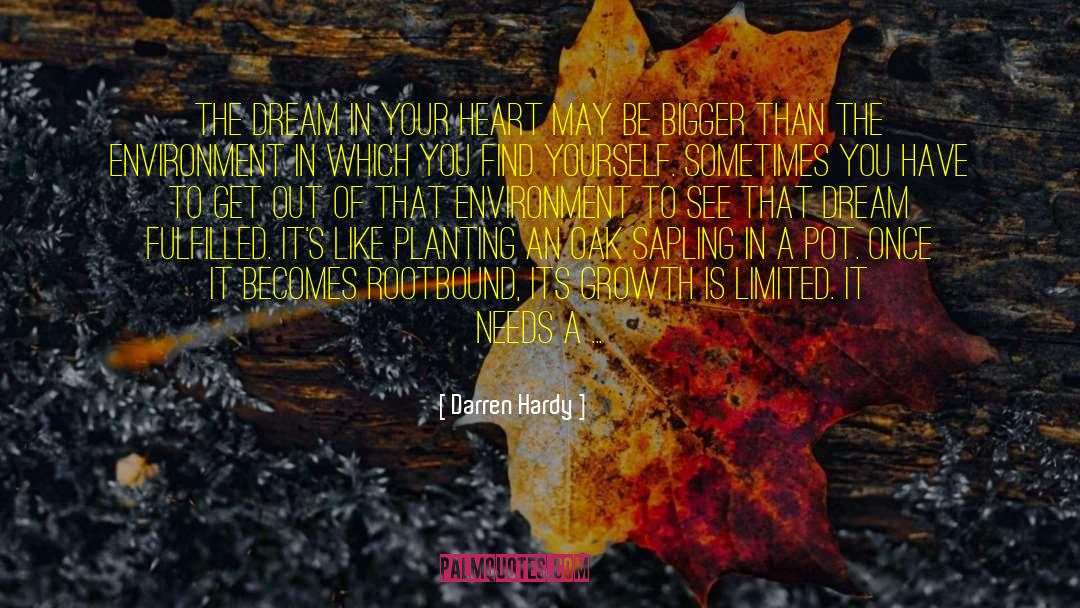Darren Hardy Quotes: The dream in your heart