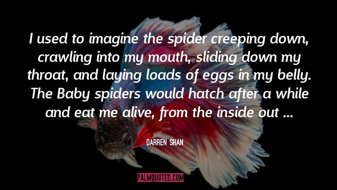 Darren Shan Quotes: I used to imagine the