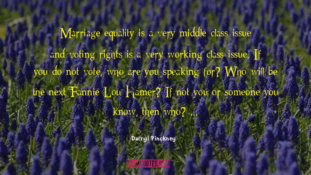 Darryl Pinckney Quotes: Marriage equality is a very
