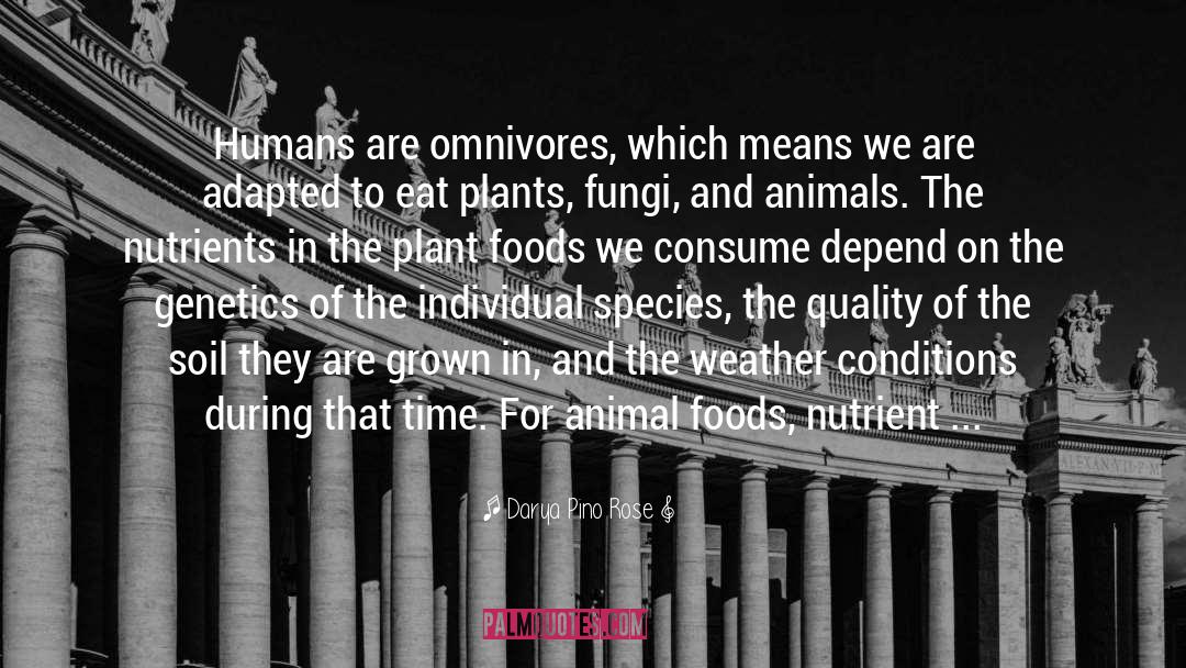 Darya Pino Rose Quotes: Humans are omnivores, which means