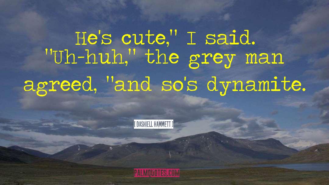 Dashiell Hammett Quotes: He's cute,