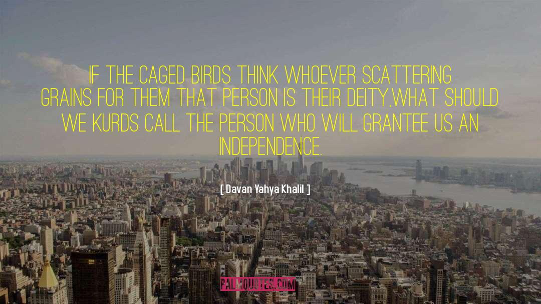Davan Yahya Khalil Quotes: If the caged birds think
