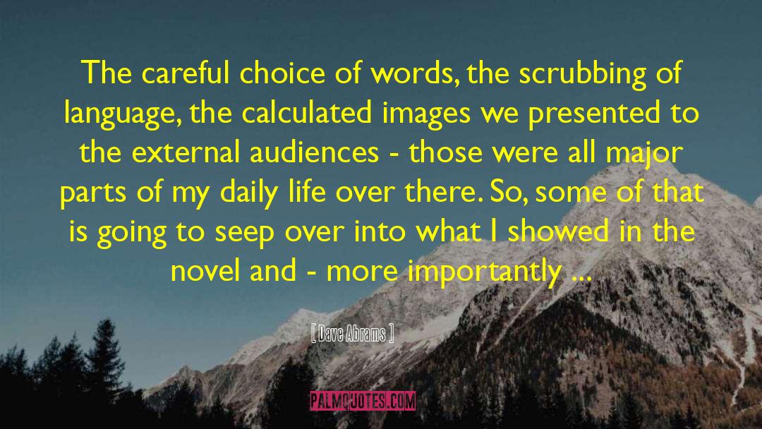 Dave Abrams Quotes: The careful choice of words,