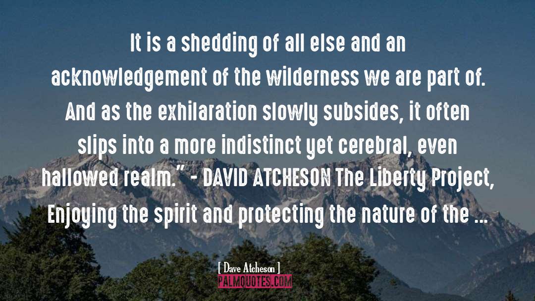 Dave Atcheson Quotes: It is a shedding of